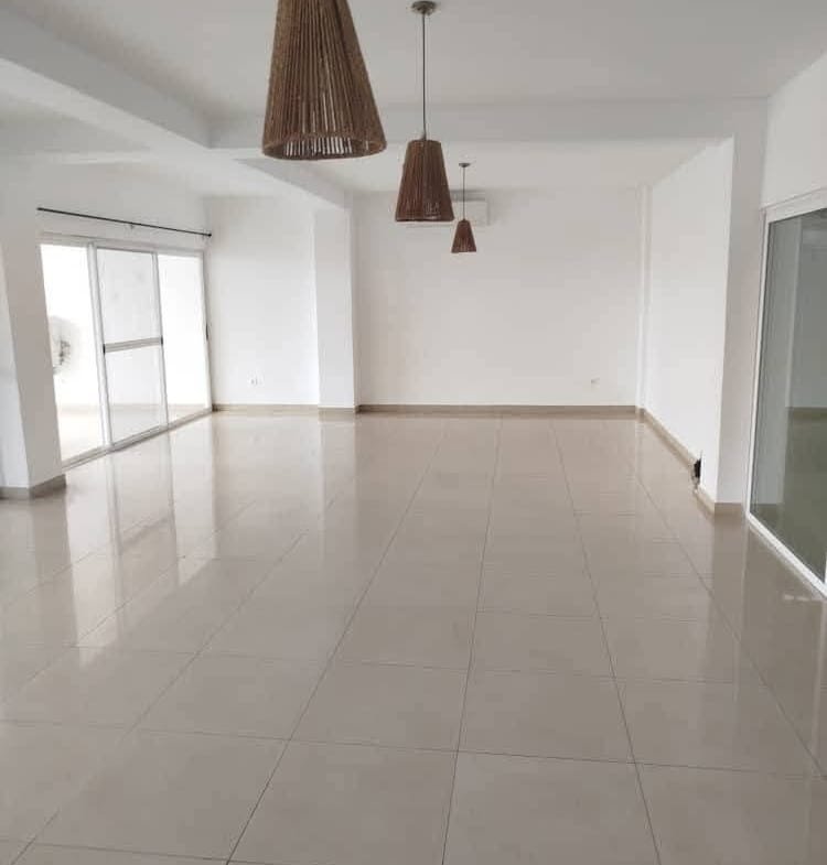Appartement F4 de standing à La Haie Vive 4