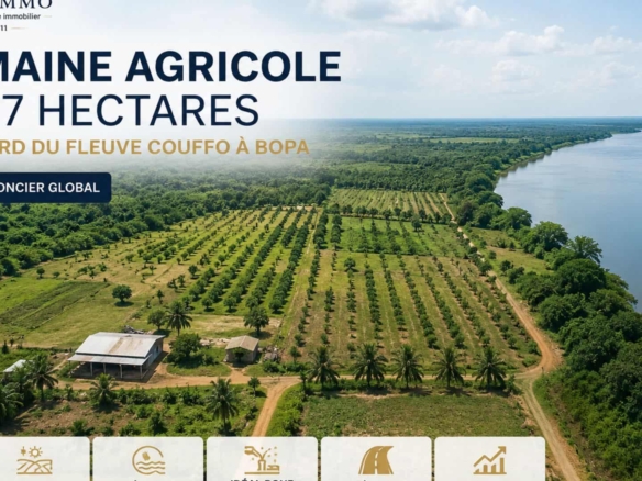 Domaine agricole au bord du Fleuve Couffo à Bopa 1929 X 1080