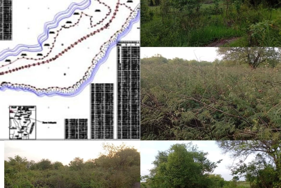 Domaine agricole de 143 hectares à Sagon Ouinhi