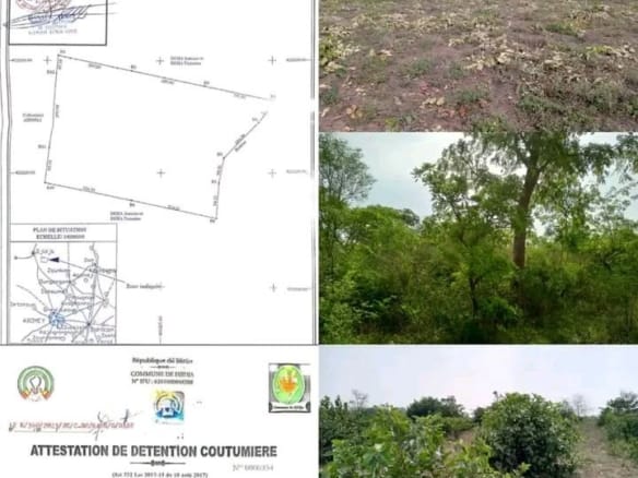 Domaine agricole de 17 hectares à Monsourou Djidja