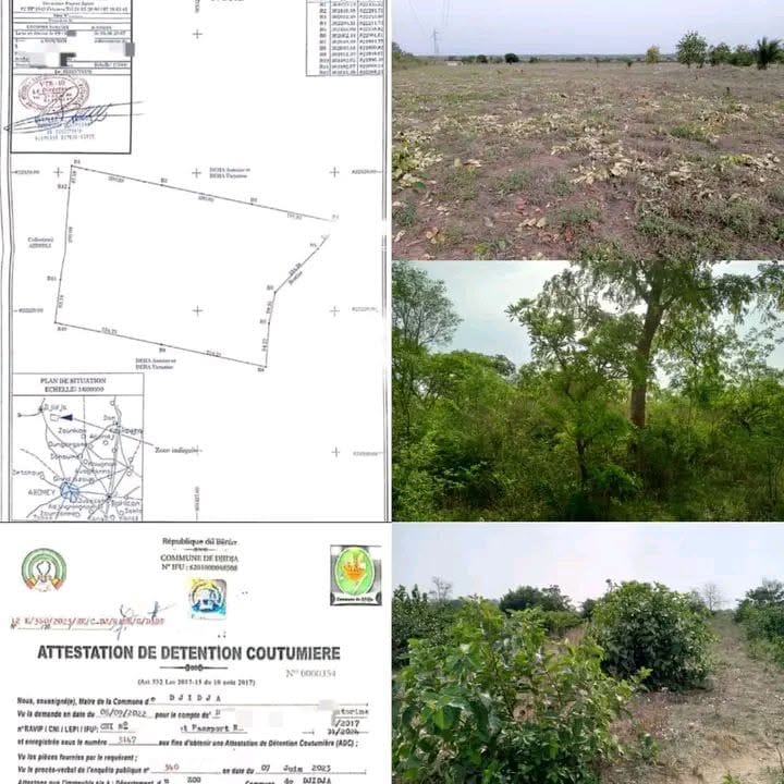 Domaine agricole de 17 hectares à Monsourou Djidja Domaine agricole de 17 hectares à Monsourou Djidja