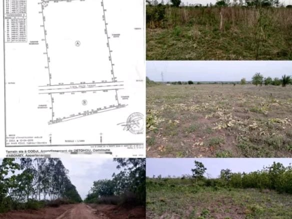 Domaine agricole de 37 hectares à Détohou Abomey