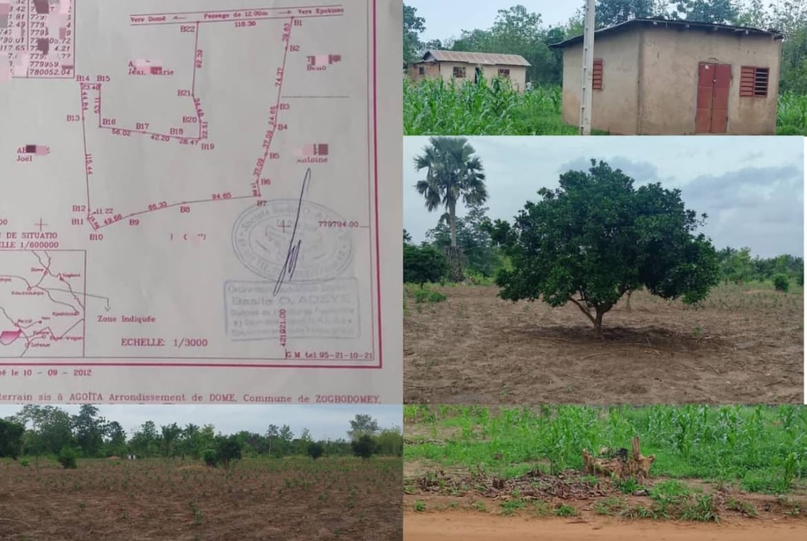 Domaine agricole de 3,75 hectares à Domè Zogbodomey
