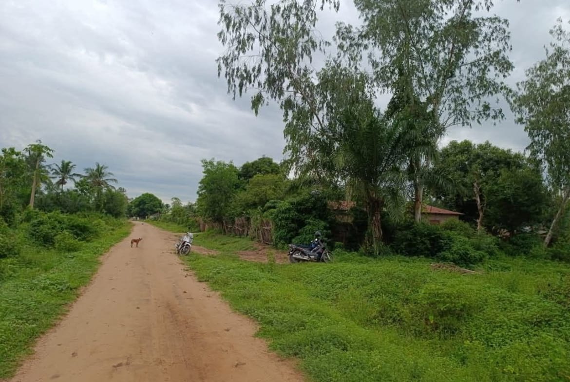 Domaine de palmeraie avec titre foncier à Kpanroun