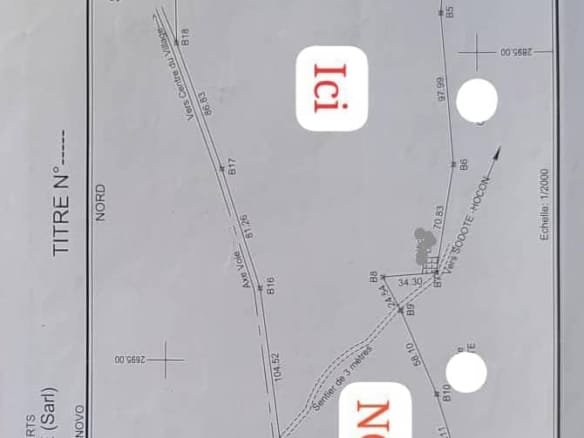 Domaine de palmiers à huile avec titre foncier à vendre à Ouidah