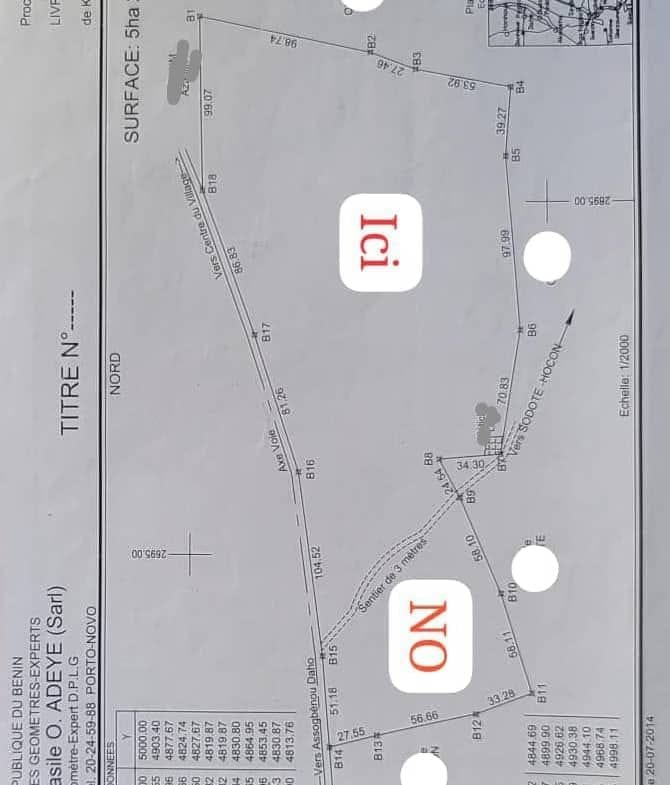 Domaine de palmiers à huile avec titre foncier à Ouidah