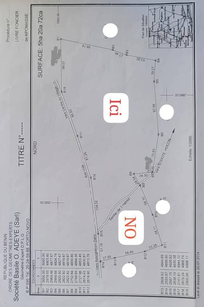 Domaine de palmiers à huile avec titre foncier à Ouidah