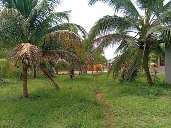 Domaine touristique au bord du lac Toho à vendre à Savi Gakpé 2