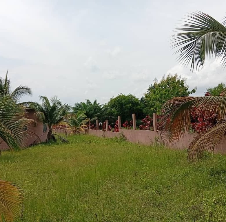 780