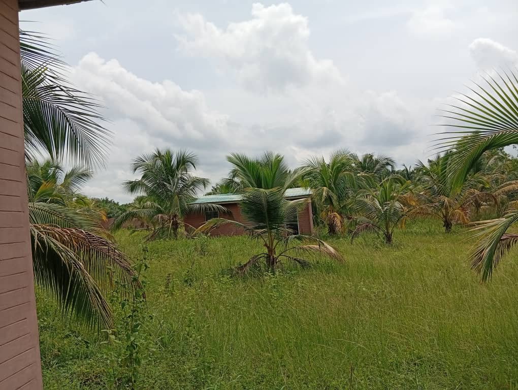Domaine touristique au bord du lac Toho à vendre à Savi Gakpé 6
