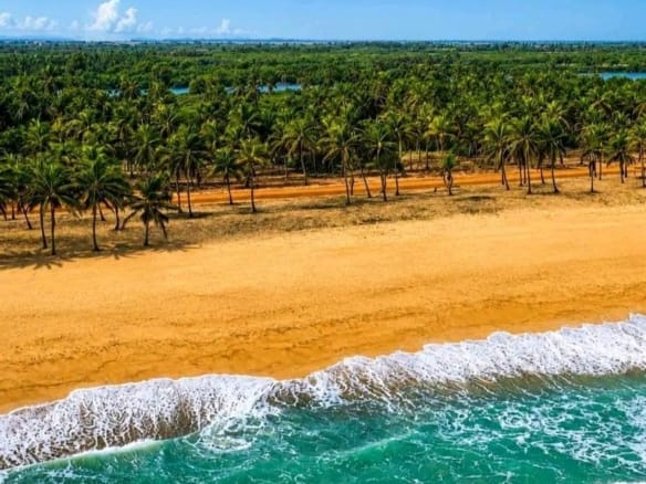 Domaine touristique de 4,5 hectares à Djègbadji Ouidah 2
