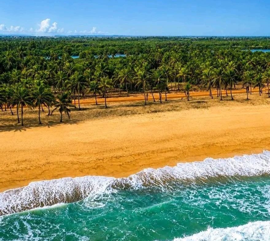 Domaine touristique de 4,5 hectares à Djègbadji Ouidah 2