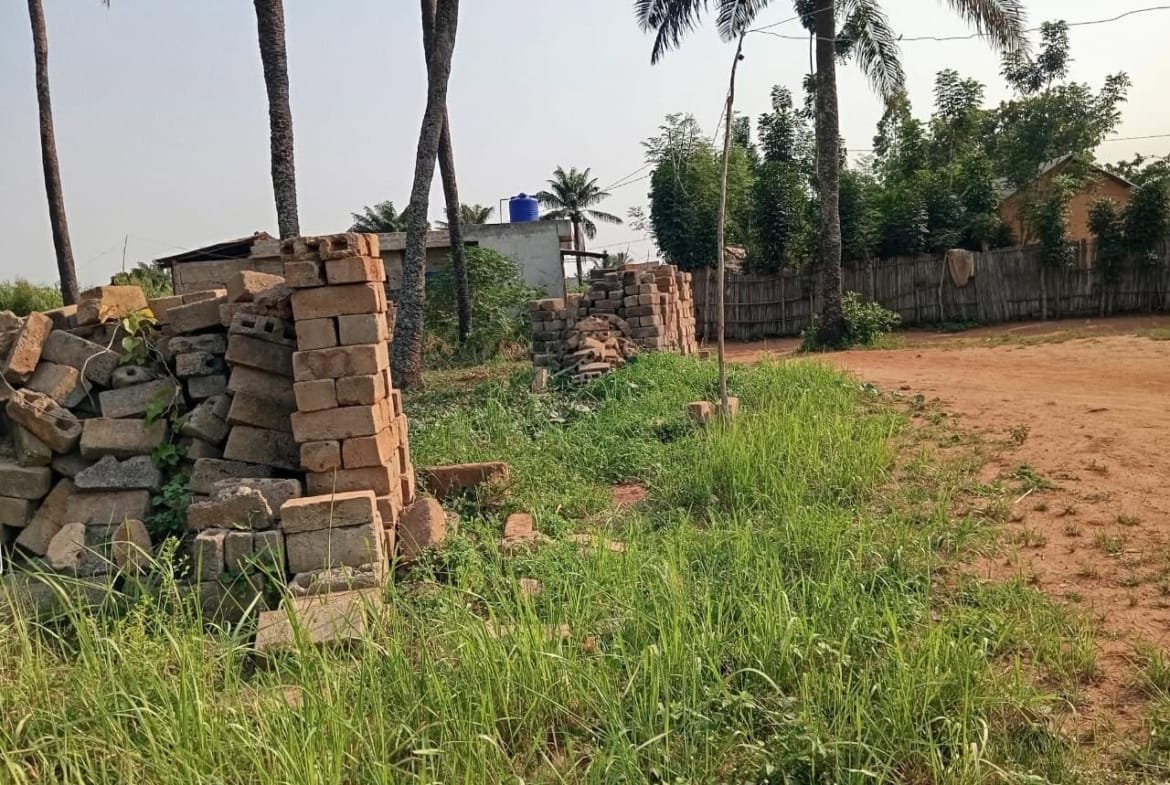 Parcelle de 341 m² à vendre à Ouindodji Avrankou