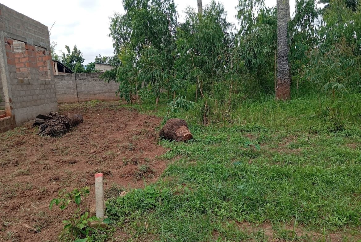 Parcelle recasée de 377 m² à Vakongbo Missérété