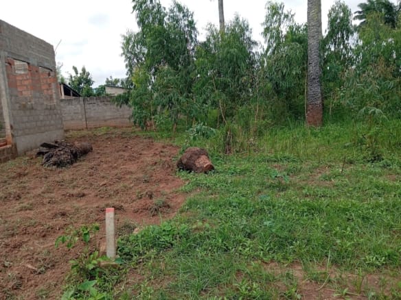Parcelle recasée de 377 m² à Vakongbo Missérété