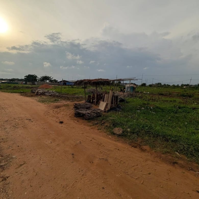 Parcelles à vendre au carrefour Savon Jojo à Ouidah 2