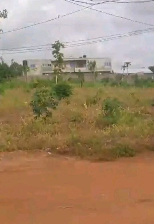 Parcelles de 400 m² à vendre à Ouèdo 2