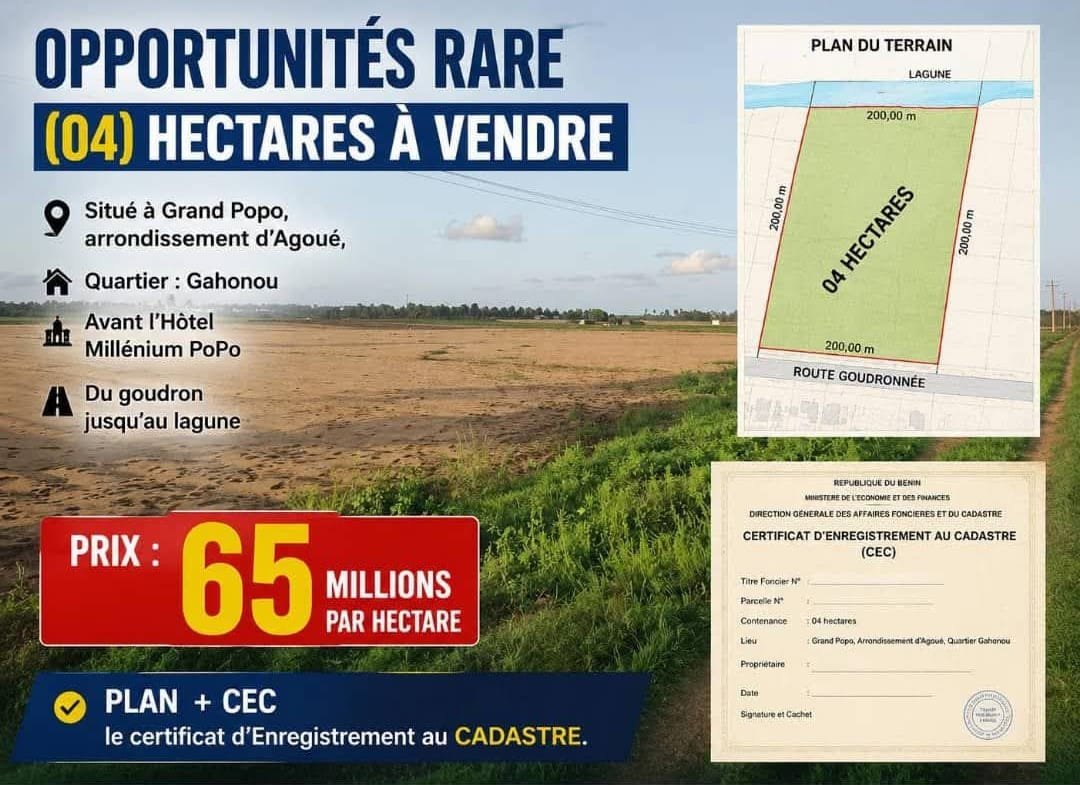 Terrain en bordure du goudron et de la lagune à Agoué