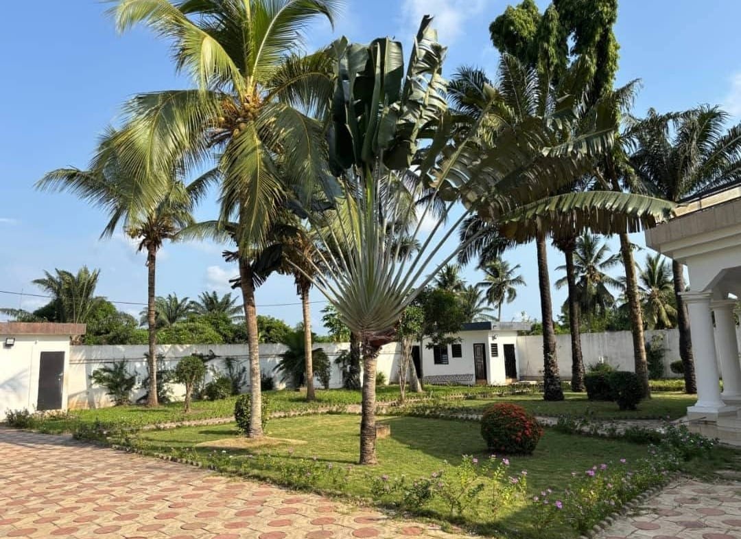 Villa avec grand jardin et terrasse à Ouidah