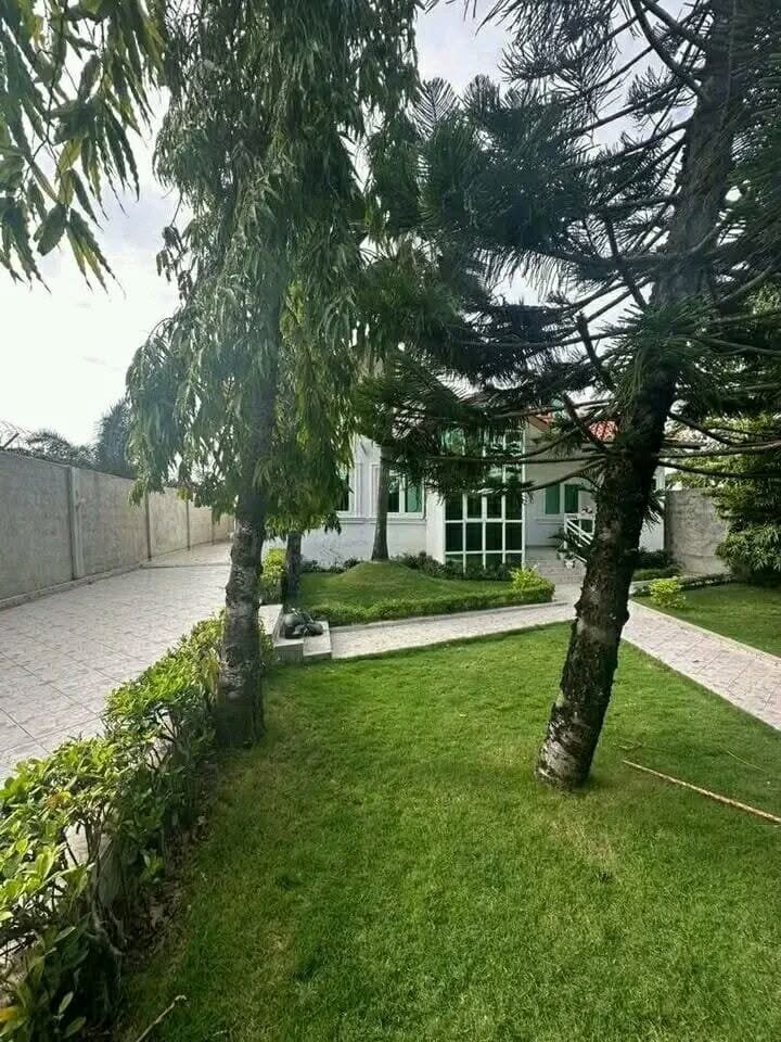 Villa meublée avec jardin à Fidjrossè Fiégnon 15