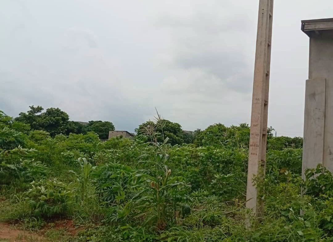 Domaine de 2 000 m² à vendre à Akassato Air Afrique 4