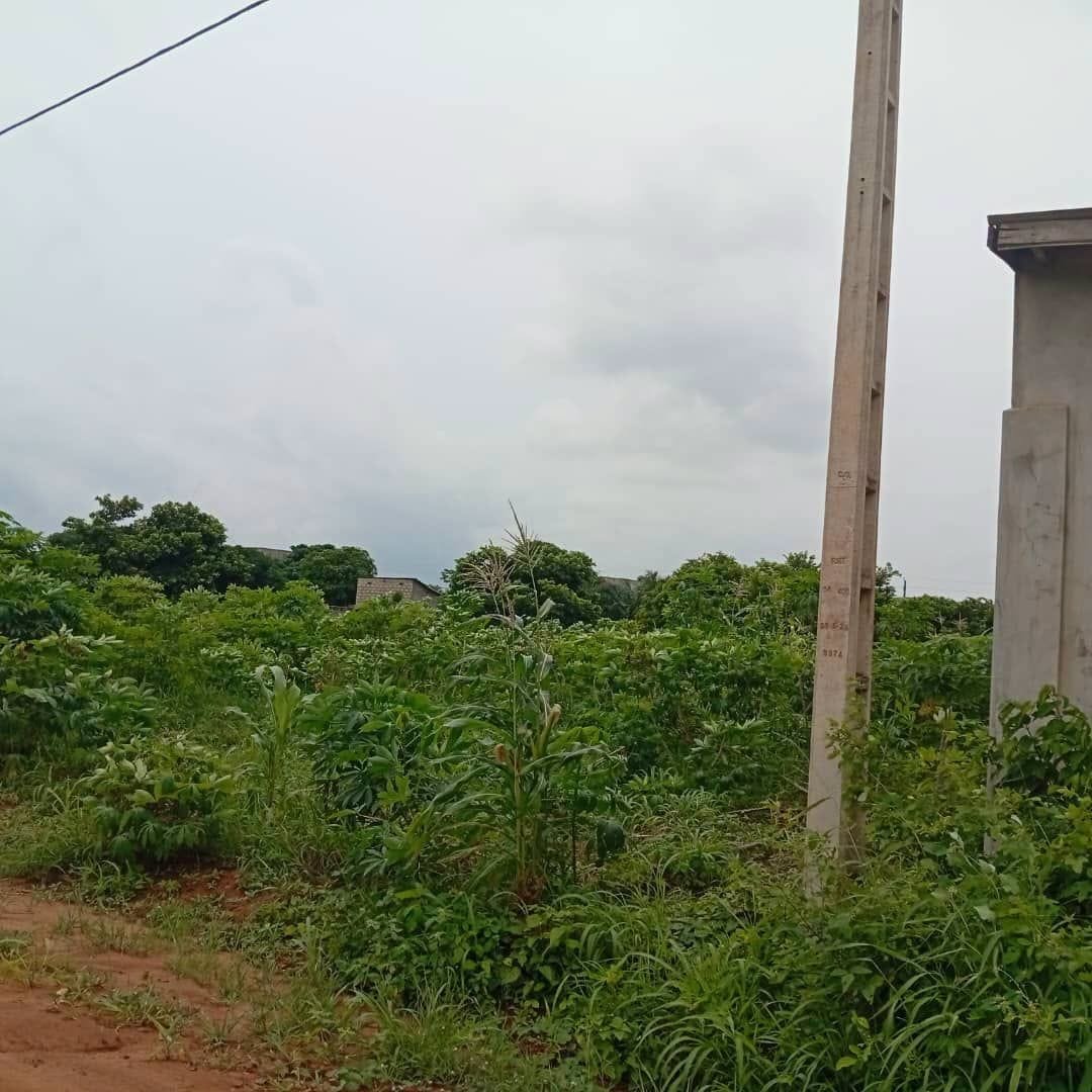 Domaine de 2 000 m² à vendre à Akassato Air Afrique 4