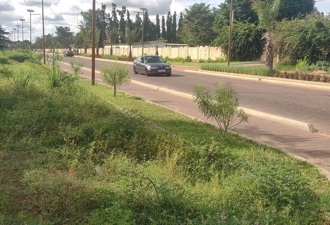Domaine de 4 hectares à vendre à Ouidah près de la plage 3