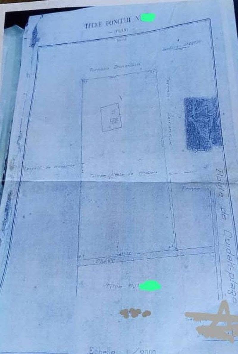 Domaine de 4 hectares à vendre à Ouidah près de la plage 4 Domaine de 4 hectares à vendre à Ouidah près de la plage 4