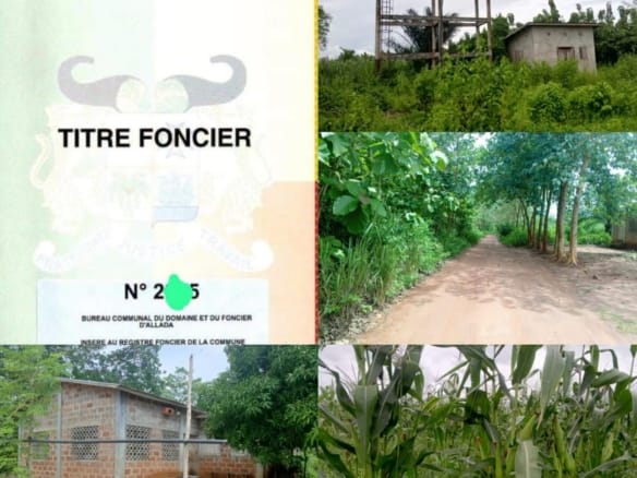 Ferme agricole avec titre foncier à Allada