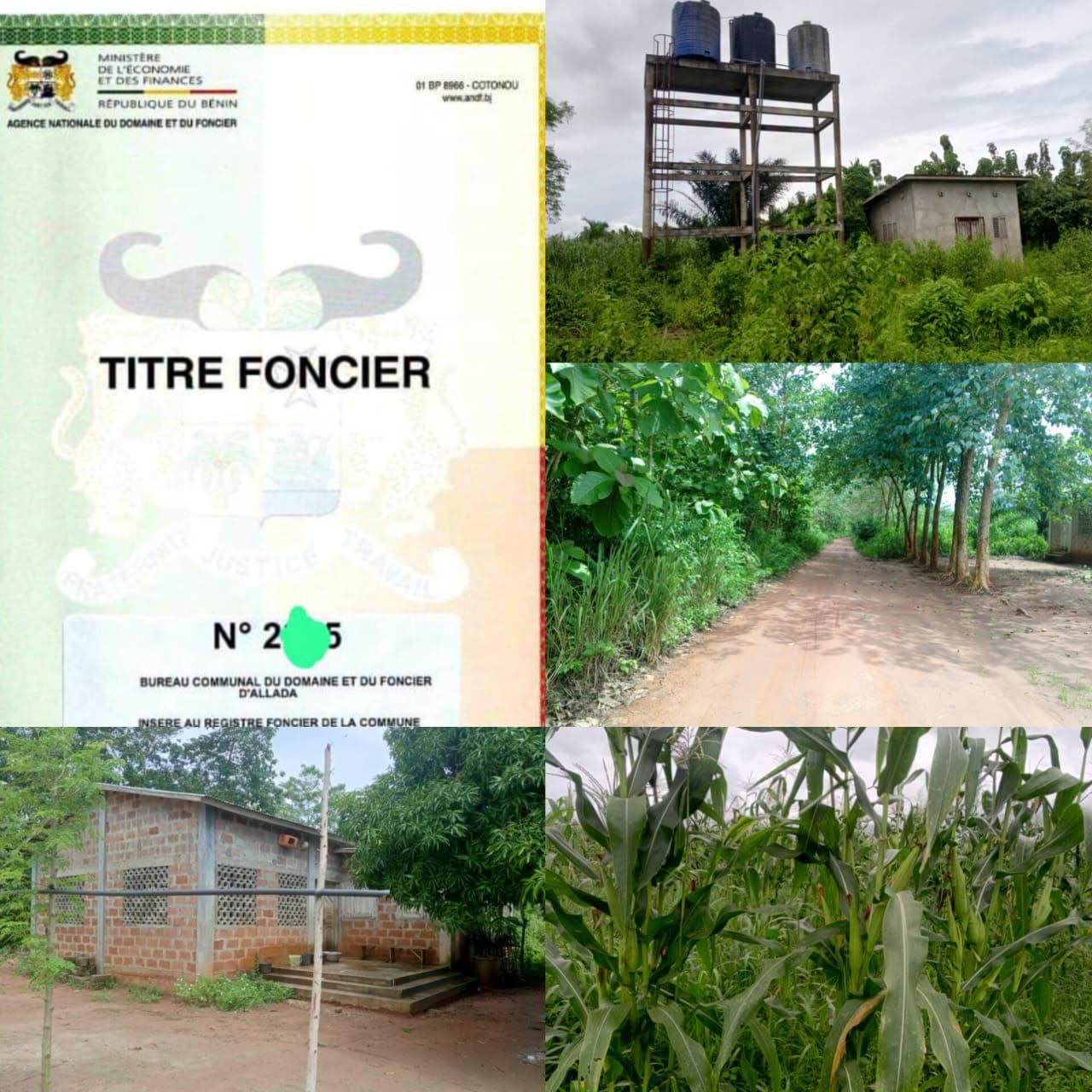 Ferme agricole avec titre foncier à Allada Ferme agricole avec titre foncier à Allada