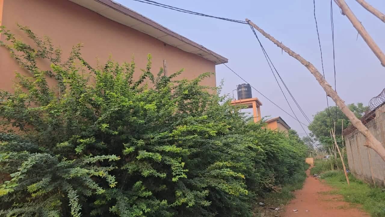 Maisons locatives à vendre à Togba Houéga 5