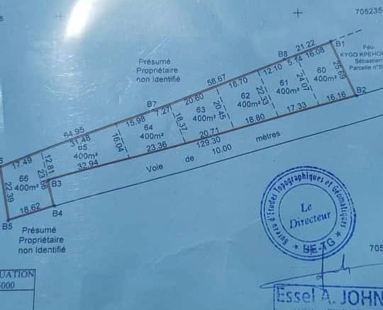 Parcelle à vendre à Ouidah près du Séminaire Saint Gall
