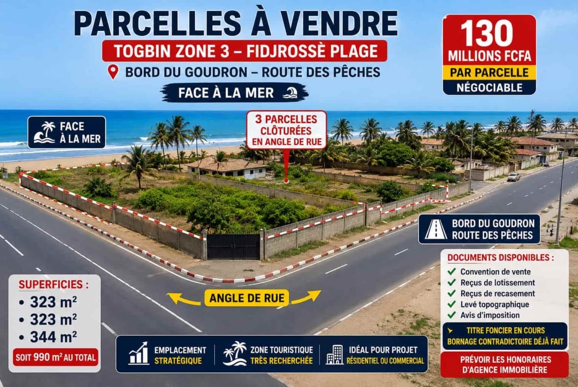 Parcelles en angle de rue à vendre à Togbin Zone 3 Compressé