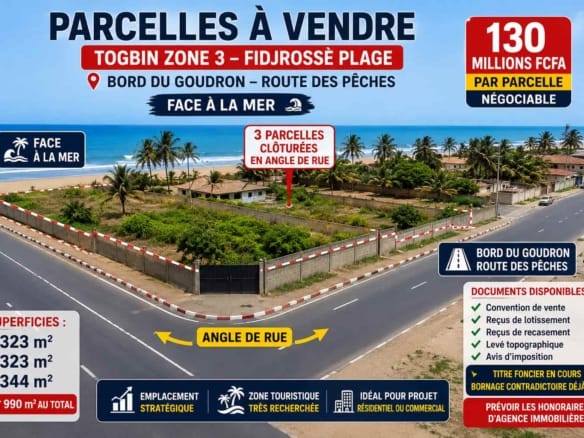 Parcelles en angle de rue à vendre à Togbin Zone 3 Compressé