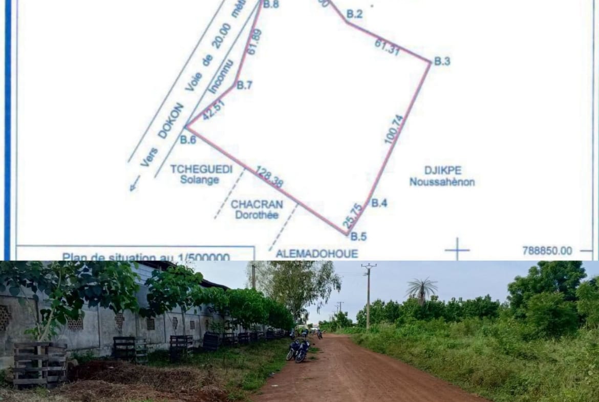 Terrain de 1,45 hectare à Saclo Bohicon